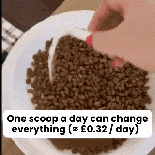 PureTaurine+ – The No.1 Vet-Recommended Taurine