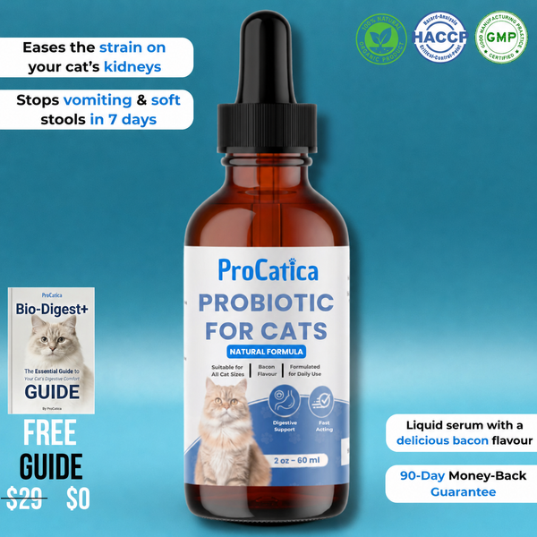 Bio-Digest+ Probiotic for Cats