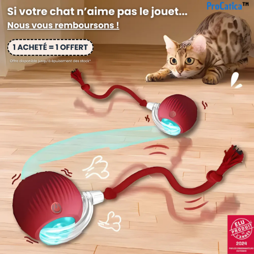 PlayBall™ – Interactive Cat Toy