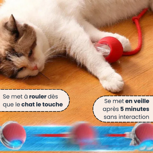 PlayBall™ – Interactive Cat Toy