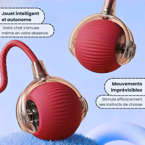 PlayBall™ – Interactive Cat Toy