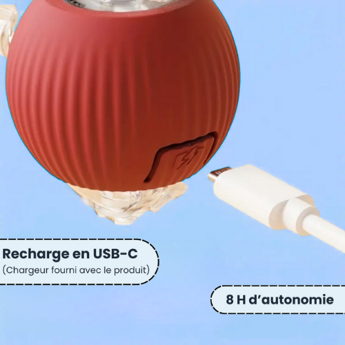 PlayBall™ – Interactive Cat Toy