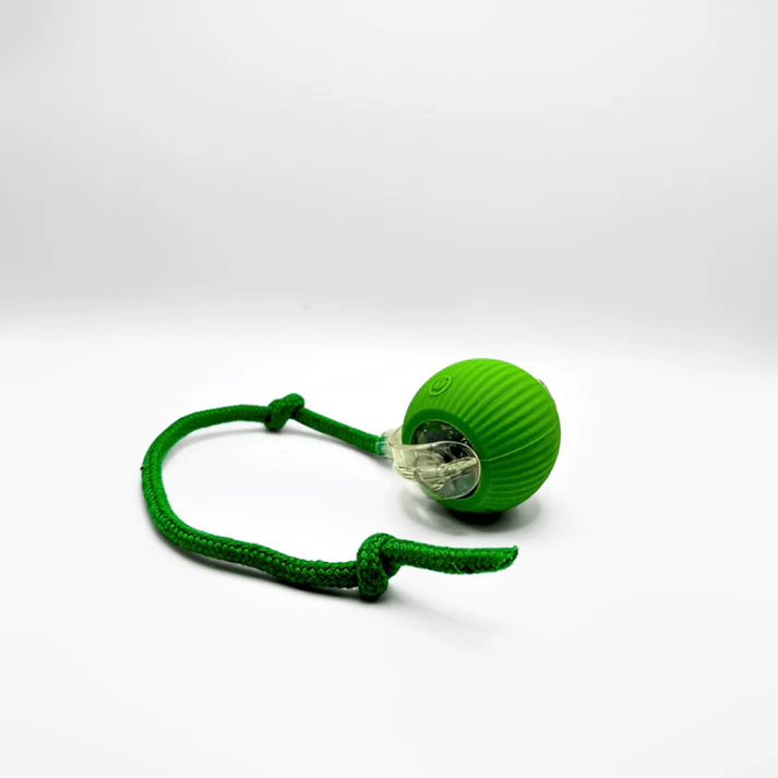 PlayBall™ – Interactive Cat Toy