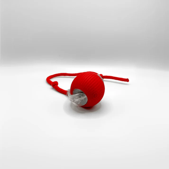 PlayBall™ – Interactive Cat Toy