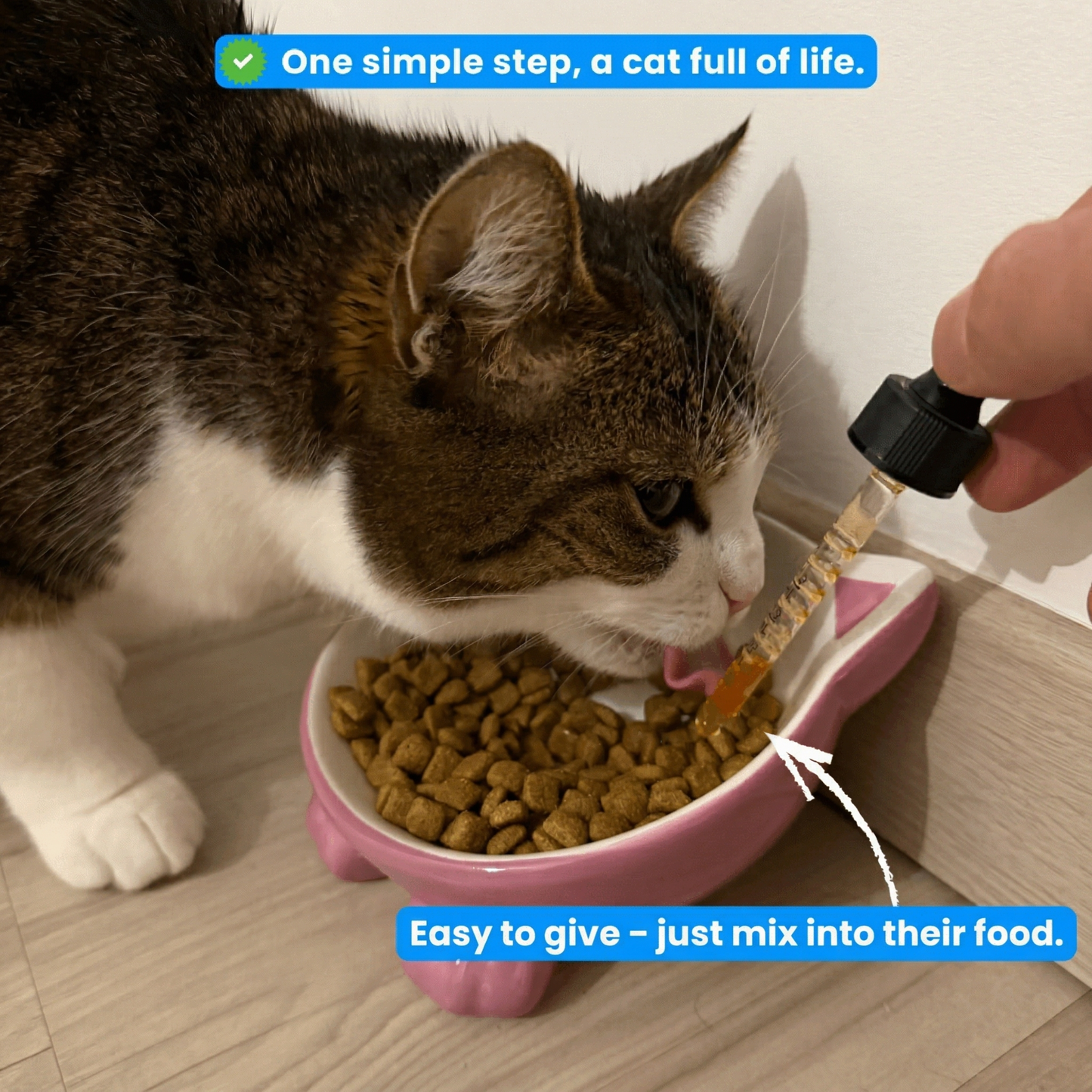 Bio-Digest+ Probiotic for Cats