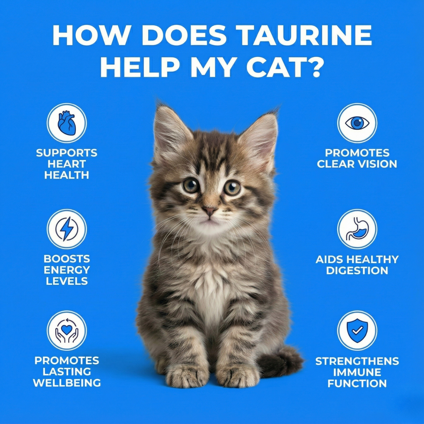 PureTaurine+ – The No.1 Vet-Recommended Taurine