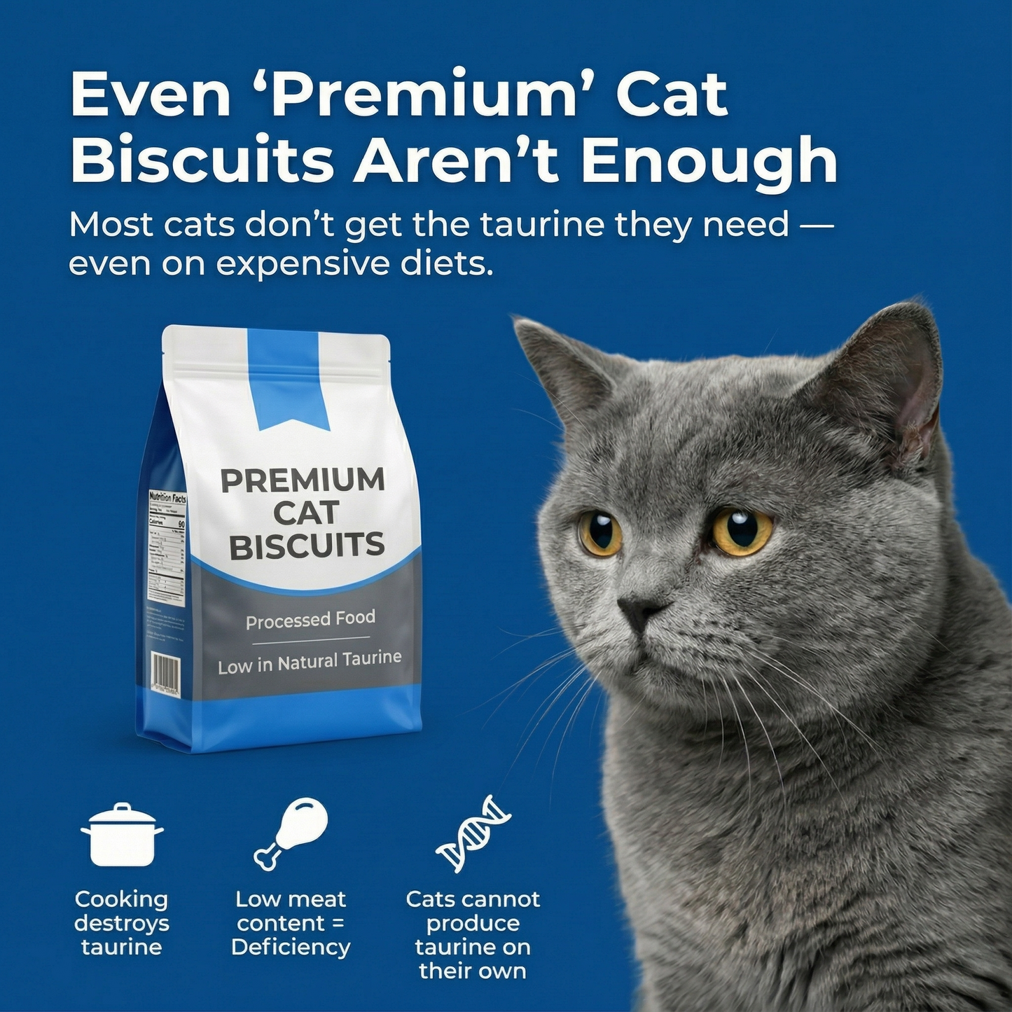 PureTaurine+ – The No.1 Vet-Recommended Taurine
