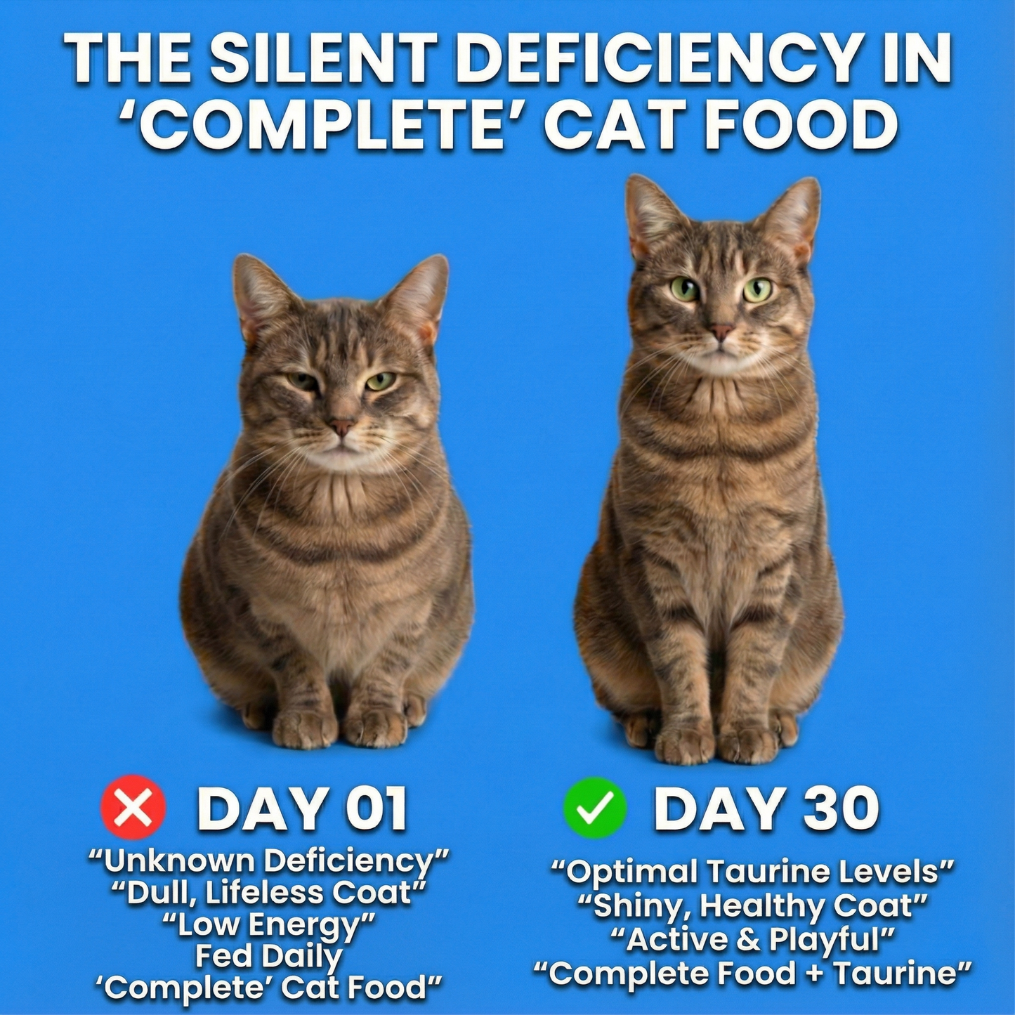 PureTaurine+ – The No.1 Vet-Recommended Taurine