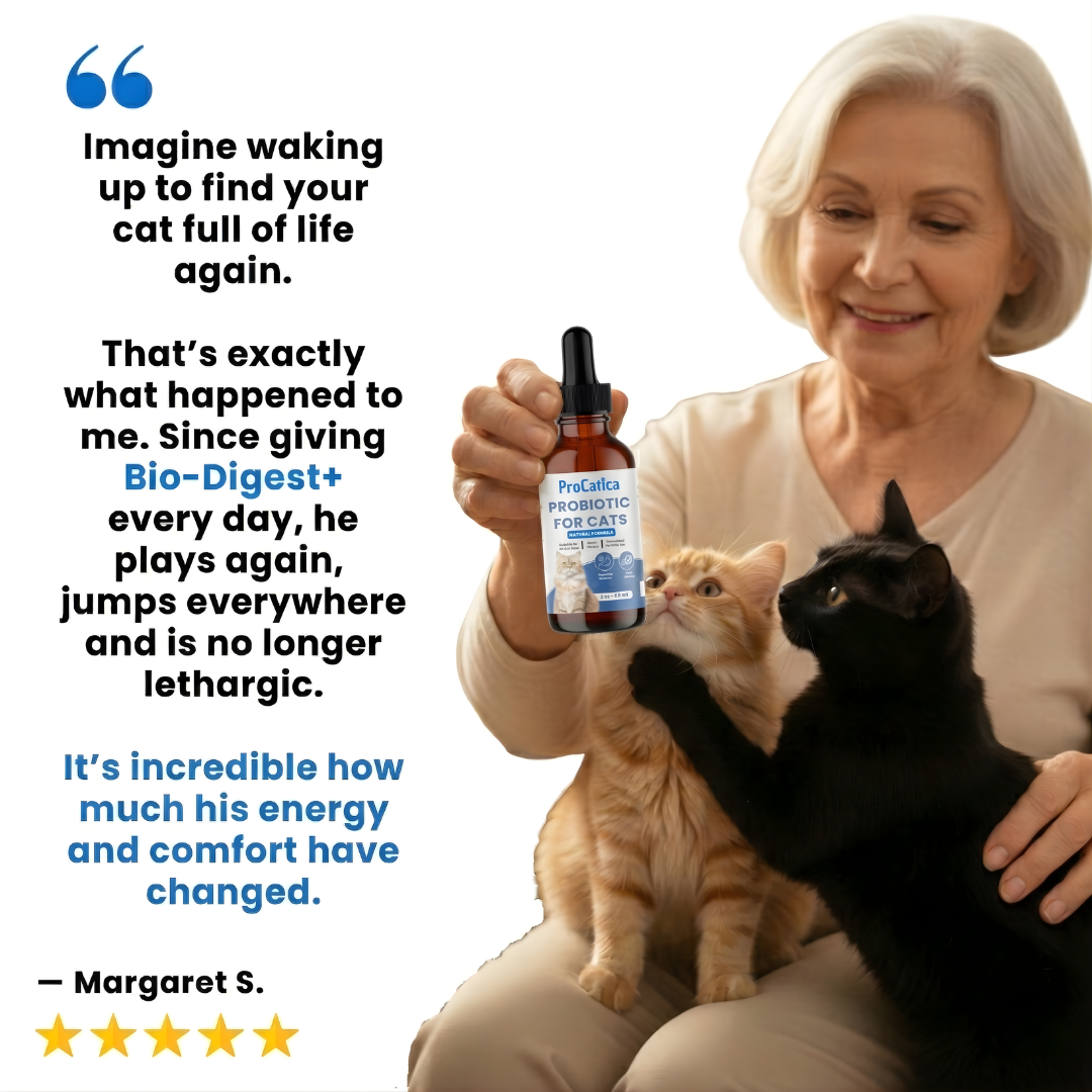 Bio-Digest+ Probiotic for Cats