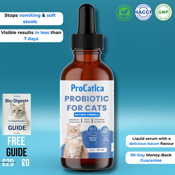 Bio-Digest+ Probiotic for Cats